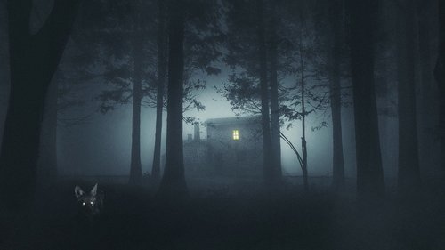 Shelby Oaks Movie Poster