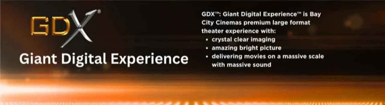 GDX Experience