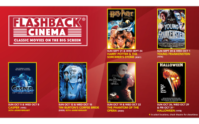 Flashback Features