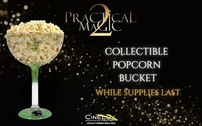 Practical Magic 2 Popcorn Bucket