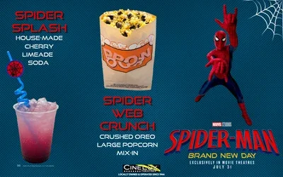 Spider-Man: Brand New Day