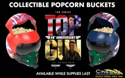 Top Gun Helmets