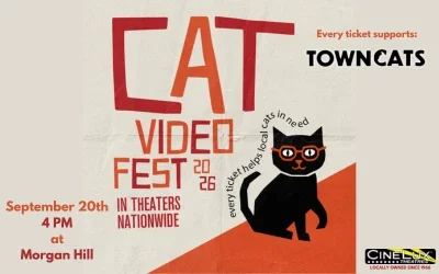 Cat Video Fest