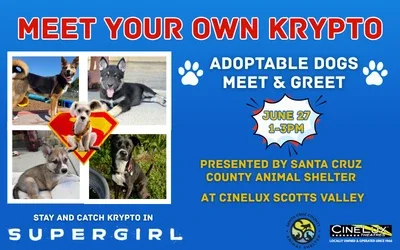 Meet your Own Krypto