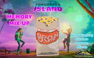 Forgotten Island Memory Mix-Up