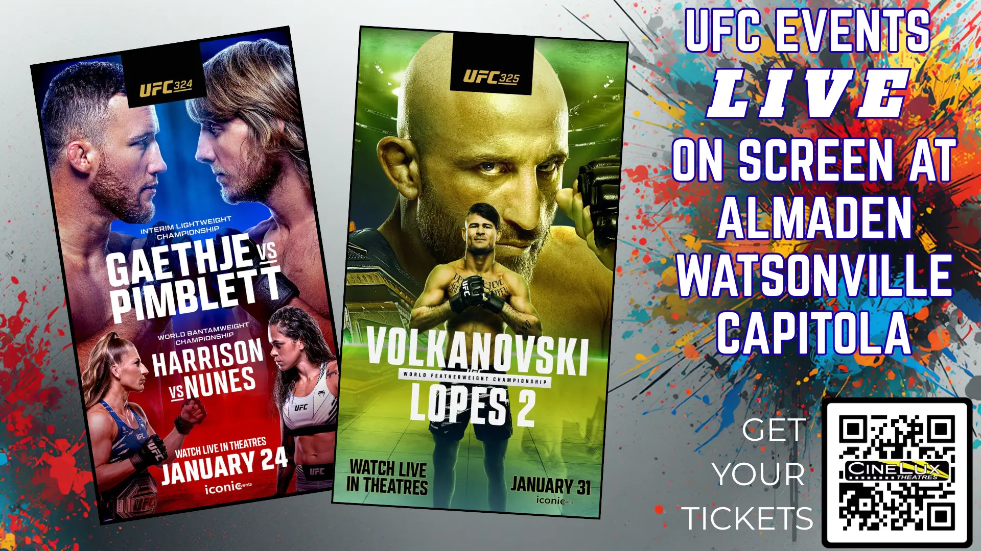 UFC Banner