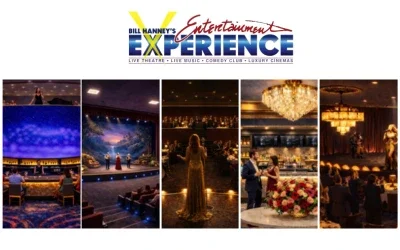 Future Entertainment Experience