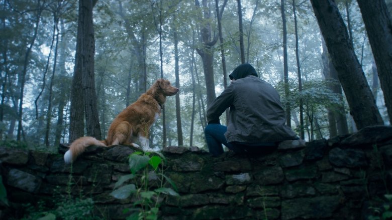 Good Boy Movie Poster