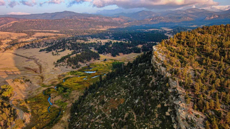 Preserved Q&A Screening Movie Poster