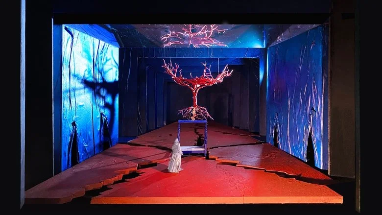 MET OPERA FRIDA Y DIEGO Hero Background Image