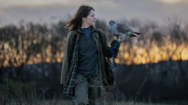 H Is For Hawk Hero Background Image