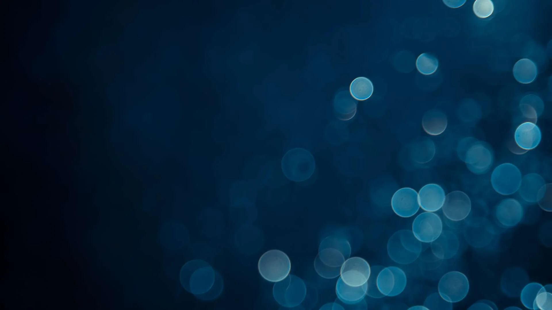 RENTAL 2 Movie Poster