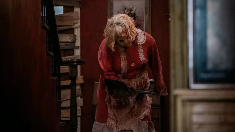 DOLLY Hero Background Image